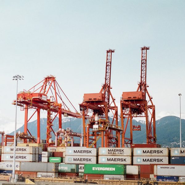 P8 600x600
